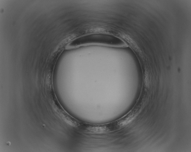 X0000062670449200601111248