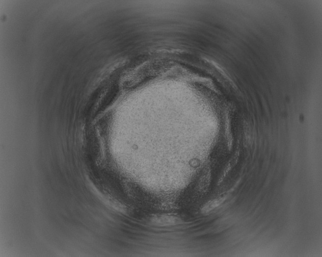 X0000062670451200601111248