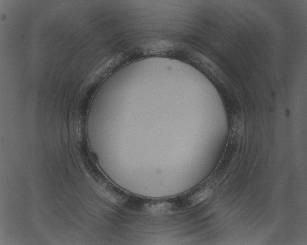 X0000062670452200601111248