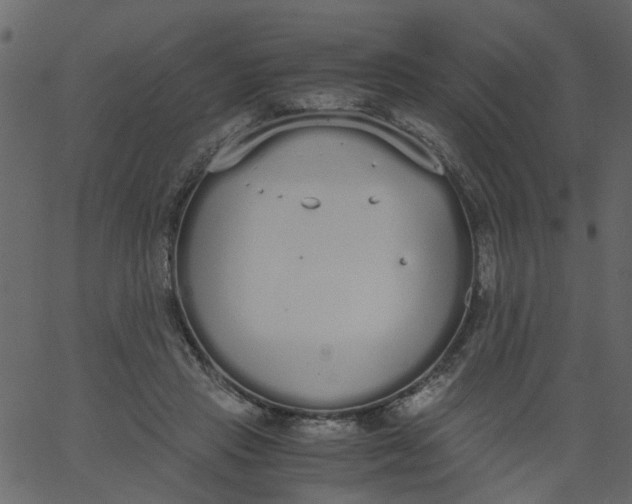 X0000062670453200601111248