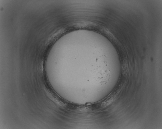 X0000062670454200601111248