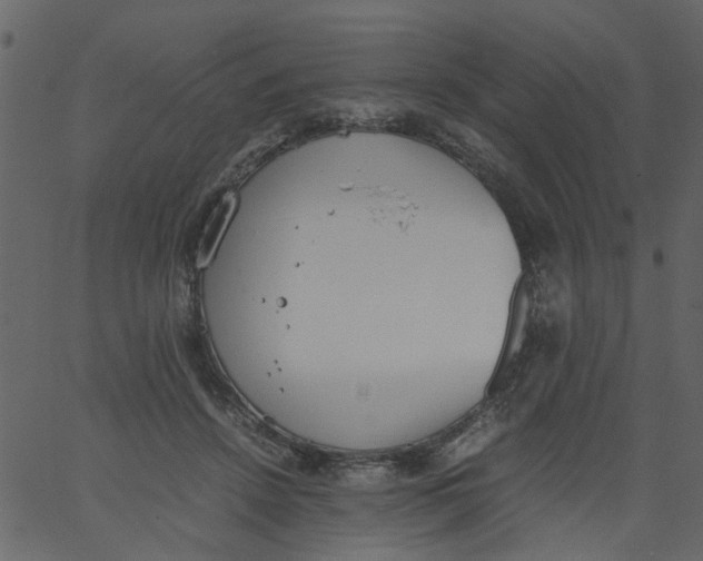 X0000062670456200601111248