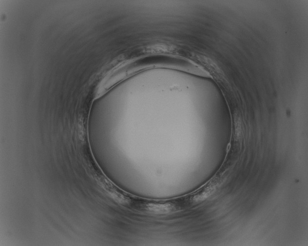 X0000062670457200601111248