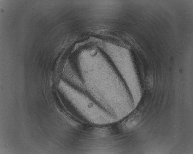 X0000062670458200601111248