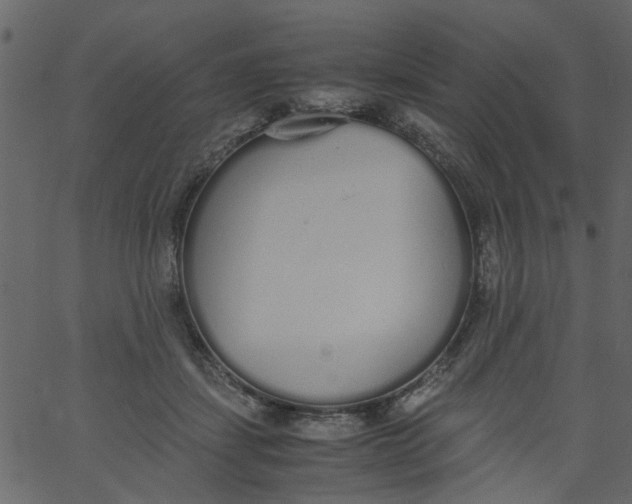 X0000062670459200601111248