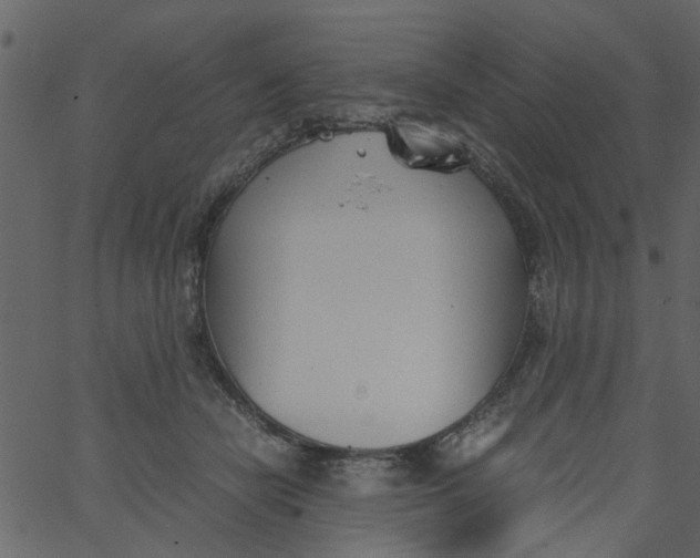 X0000062670462200601111248