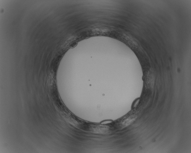 X0000062670463200601111248