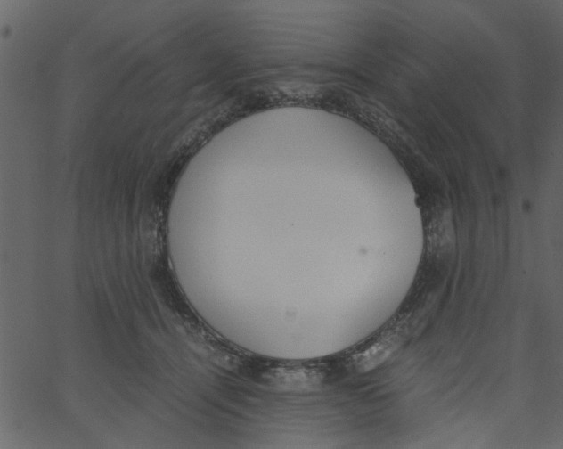 X0000062670464200601111248