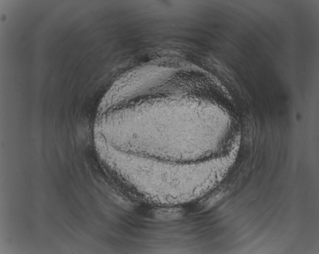 X0000062670465200601111248