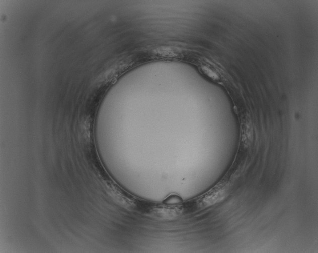 X0000062670466200601111248