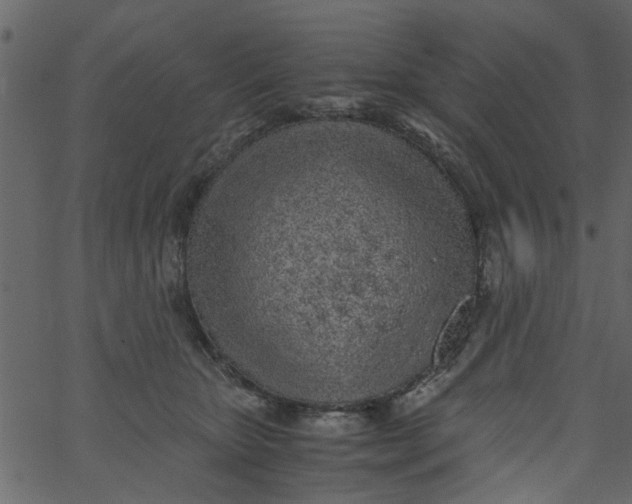 X0000062670467200601111248