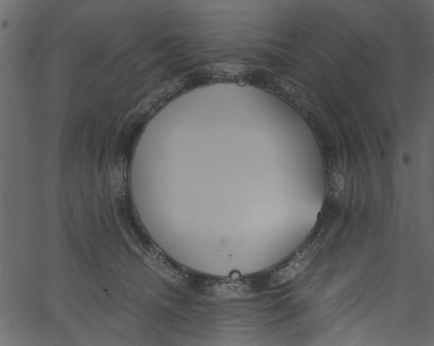 X0000062670468200601111248