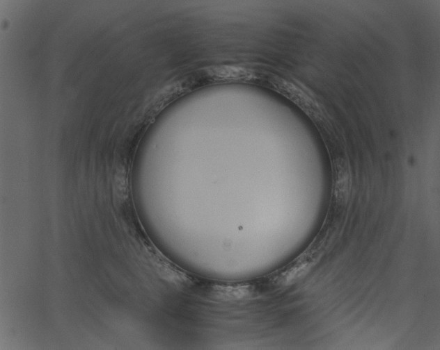 X0000062670469200601111248