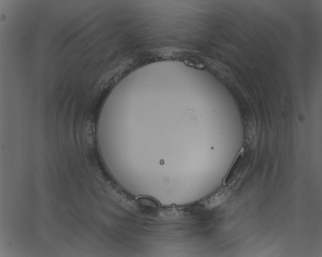 X0000062670470200601111248