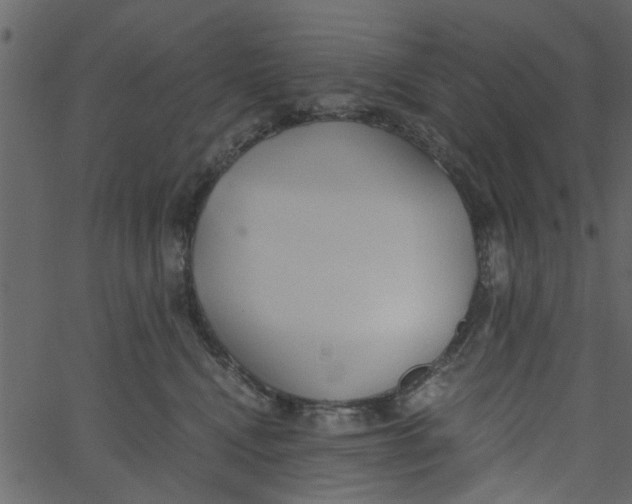 X0000062670472200601111248