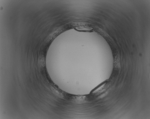 X0000062670474200601111249