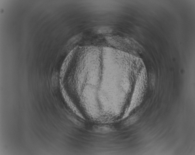 X0000062670475200601111249