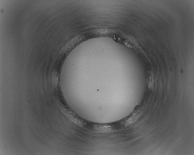 X0000062670476200601111249