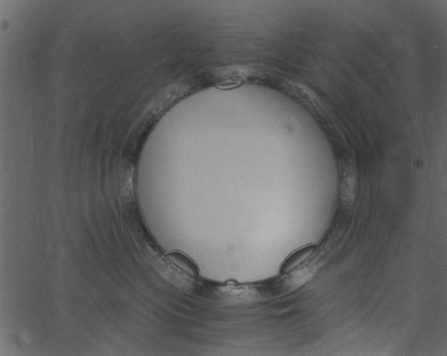 X0000062670477200601111249