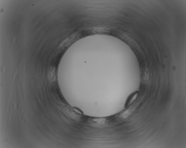 X0000062670478200601111249