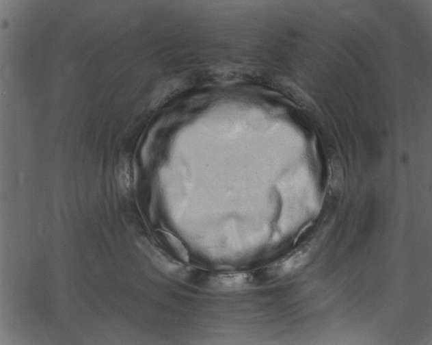 X0000062670479200601111249