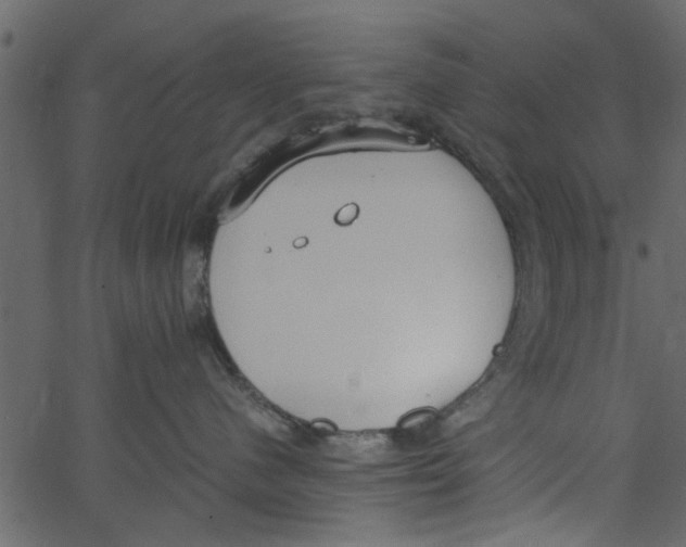 X0000062670480200601111249