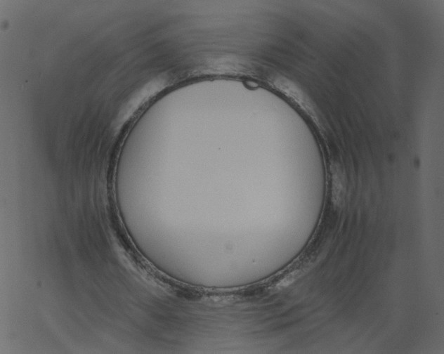 X0000062670482200601111248