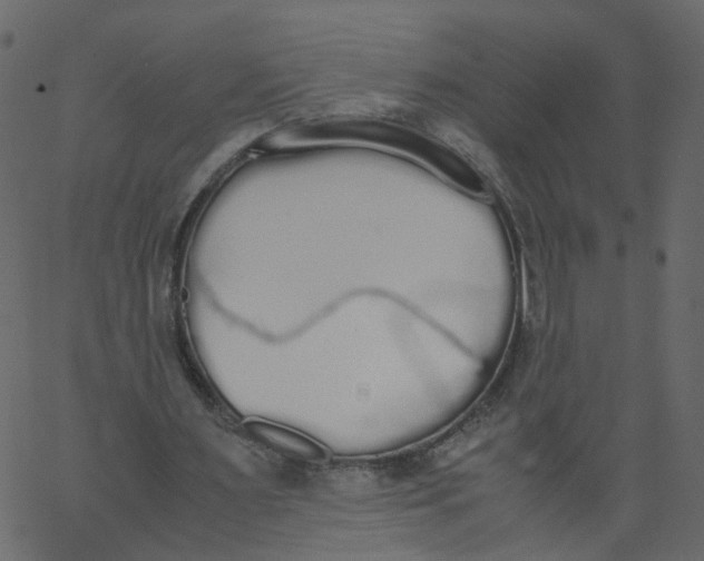 X0000062670483200601111248