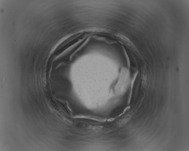 X0000062670484200601111248