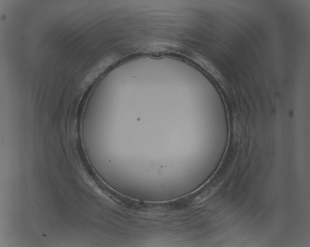 X0000062670485200601111248