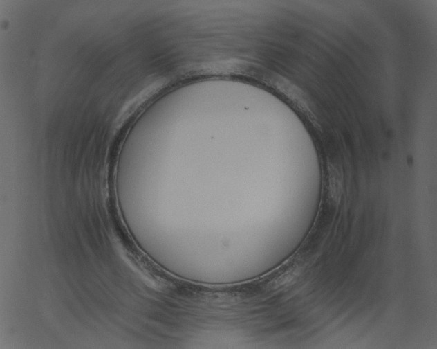 X0000062670486200601111248