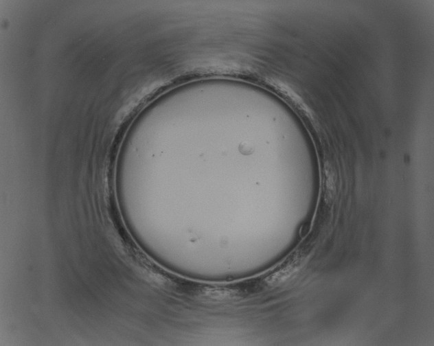 X0000062670487200601111248