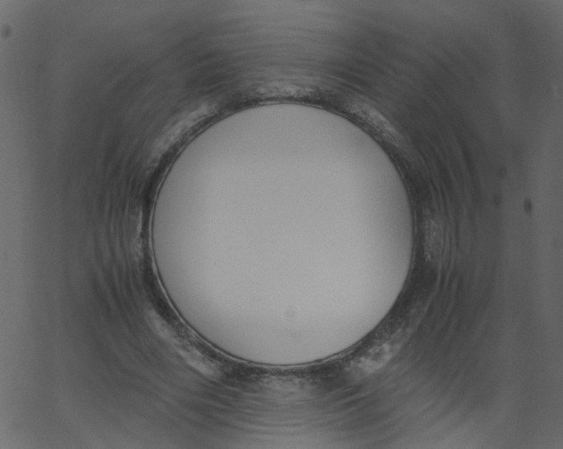 X0000062670490200601111248