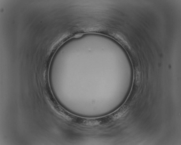 X0000062670491200601111248