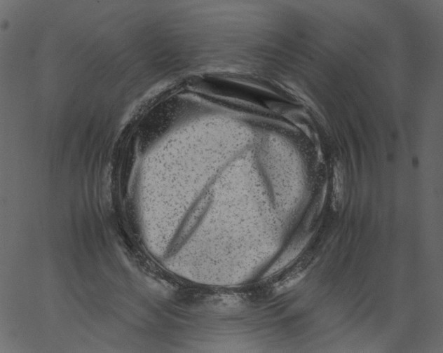 X0000062670492200601111248