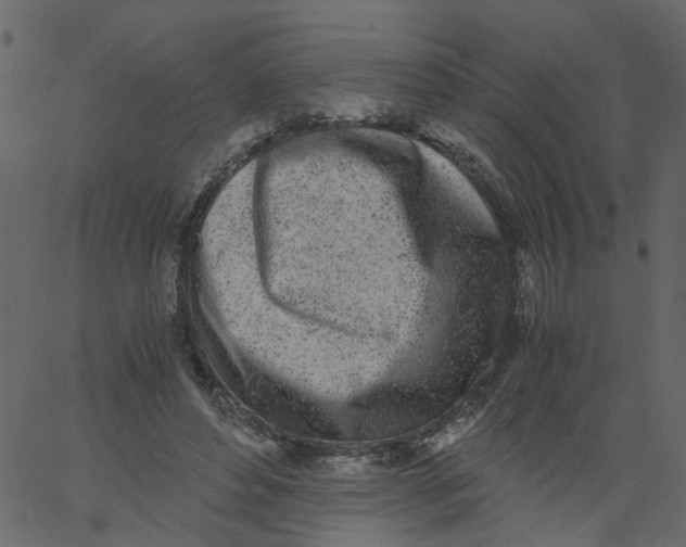 X0000062670496200601111248