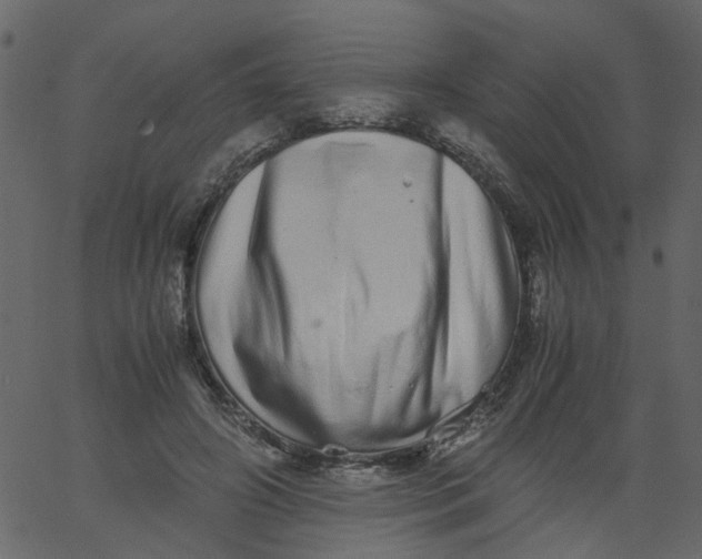 X0000062670498200601111248