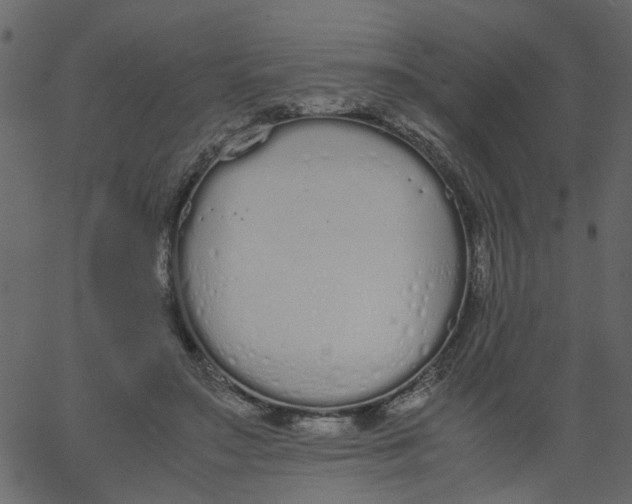 X0000062670499200601111248