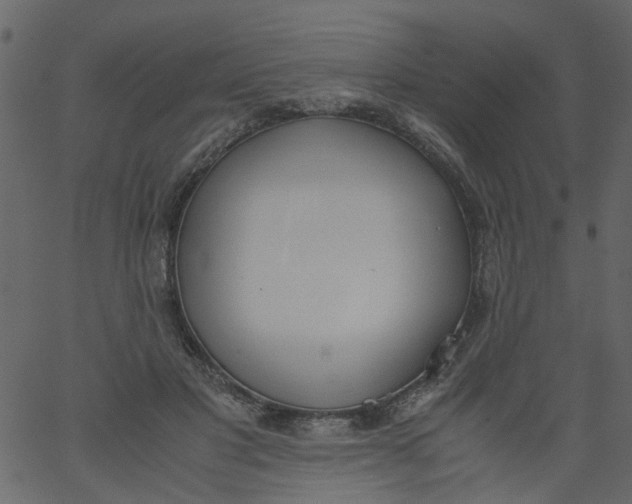 X0000062670501200601111247