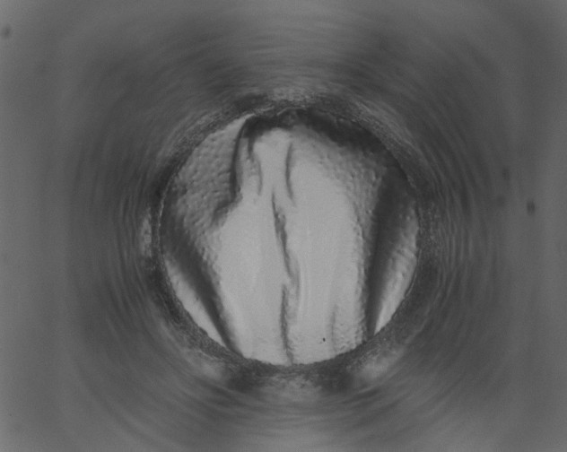 X0000062670502200601111247