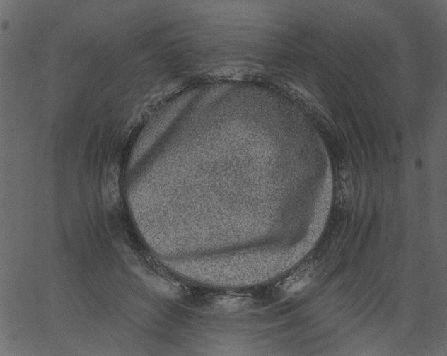 X0000062670504200601111247