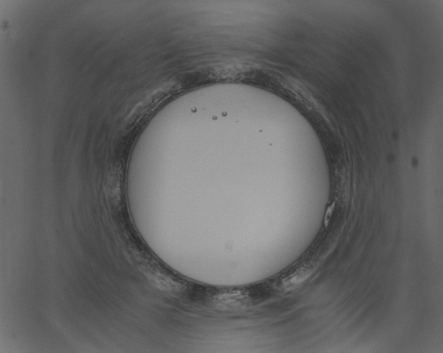 X0000062670505200601111247