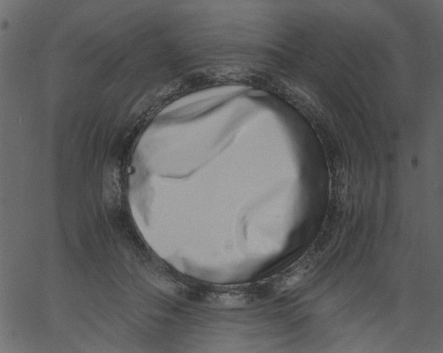 X0000062670506200601111247