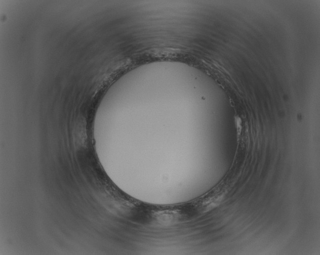 X0000062670508200601111247