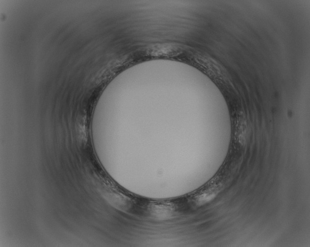 X0000062670510200601111247