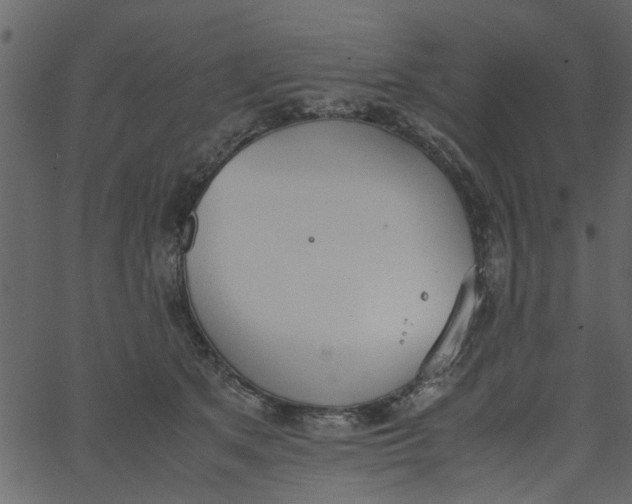 X0000062670513200601111247