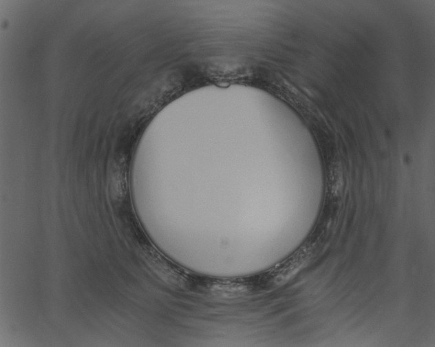 X0000062670515200601111247