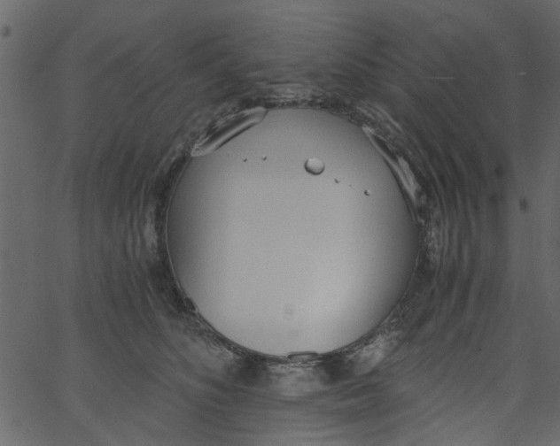 X0000062670516200601111247