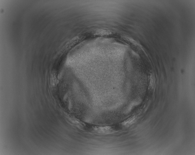 X0000062670517200601111247