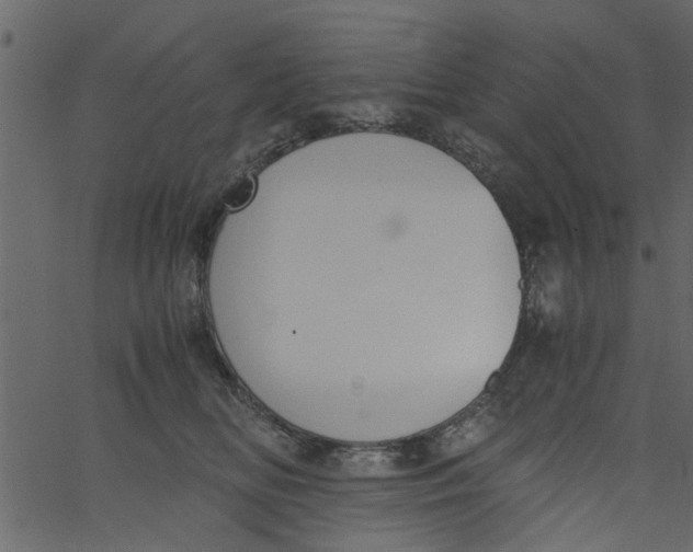 X0000062670518200601111247